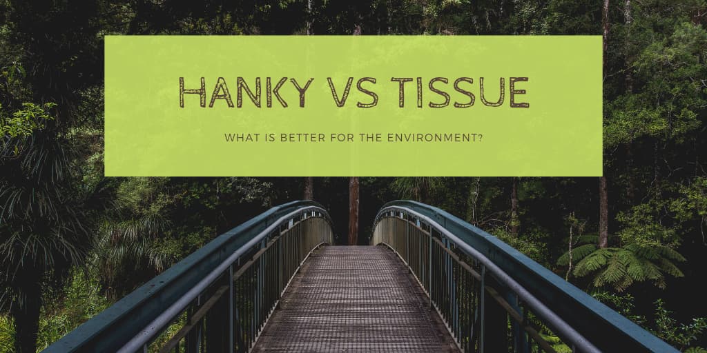 Hanky vs Tissue: Which is better for the environment?