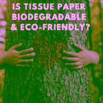 is tissue paper biodegradable