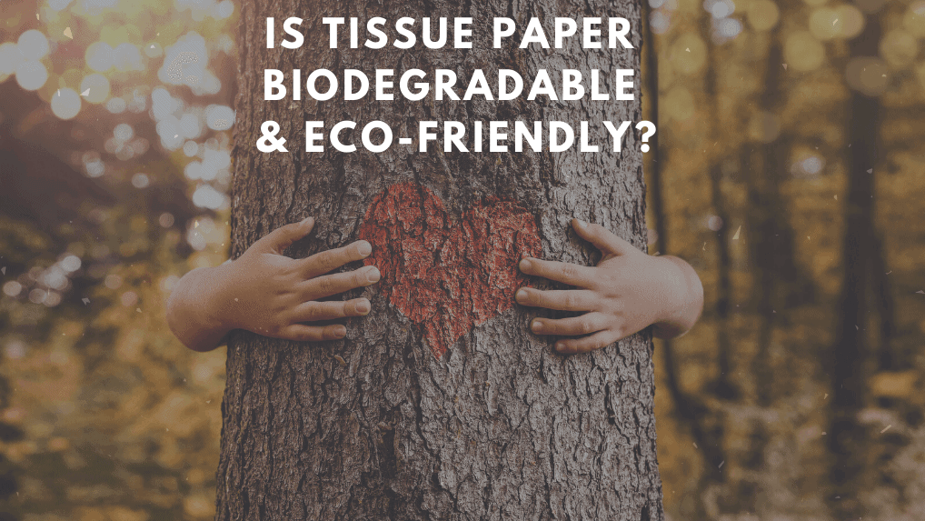 is tissue paper biodegradable
